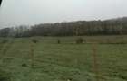 55000 mp teren imobil-comercial sau privat - 6