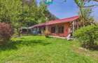 Casa Campani, 8000 mp teren, la poalele Apusenilor - 11