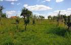 Teren Construcții de 2929 mp, în Săldăbagiu de Munte - 2