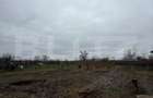 Proprietate completa in Sacuieni- Doua Case + Anexe - 7