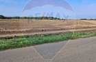Teren 21,177mp Santaul Mic / Strada - - 1