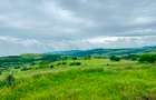 Teren agricol extravilan de 3600 mp, în Jugureni - 2