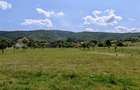 Teren intravilan de 7800 mp, în Dobârlău - 7