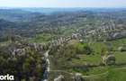 Teren 15.856 mp de vanzare in comuna Valea Ia?ului, jude? Arge?. - 7