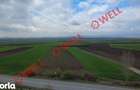 Teren intravilan de vanzare in Bicfalau! - 6