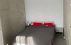 Apartament cu 2 camere semidecomandat în Tătărași - 5
