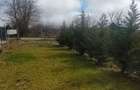 Poiana-teren 830mp deschidere 22ml, intre case - 1