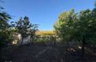 Casa 6 camere, amplasare rurala, 1600mp teren. Pre? u?or negociabil - 7