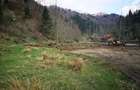 Vand teren Saticul de Sus/Jud.Arges - 6