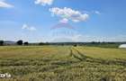 Teren 15,000mp Salcea-Prelipca, Suceava - 8