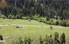 Teren de 10Ha in Bucovina BEST VIEW - 3