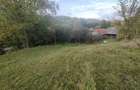 Casa de vanzare cu gradina teren de aprox 7000 mp,6.5 euro mp - 6
