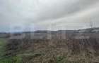 Teren extravilan de vanzare, 10.000 mp - Turcinesti - 1