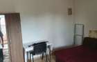 Apartament cu 2 camere decomandat în Runcu - 3