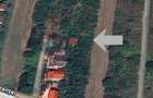 Vanzare teren intravilan 5014mp Afumati - Strada Sperantei - 6
