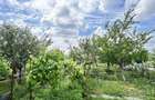 Casă cu 4 camere cu Teren 1348 Mp în Giarmata - 15