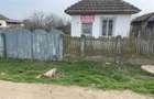 Casa ?i teren in sat Bistre?, Comuna Bistre? - 2