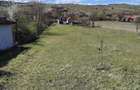 Casa de vanzare Pestisu Mic 3500 mp - 5