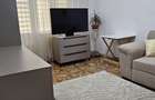 Proprietar - apart. 2 camere dec., et.1, mobilat si utilat 2024, platou Dacia - 2