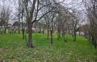 Casă individuală cu 2 camere cu Canalizare în Sâncraiu - 9