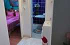 Apartament cu 3 camere decomandat în Banat - 3