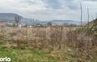 Teren Pentru Constructii 9292 mp- zona Cuzdrioara - 5