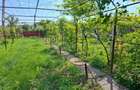 Casa + teren 1.000 mp, 20 m deschidere la strada principala, Vladuleni, Gorj - 1