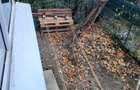 Ap 2 camere SD Mircea, parter inalt cu gradina - 9