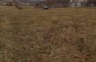 Oportunitate Investitie: Teren 8.000 mp Bistrita Valea Ghinzii - 2