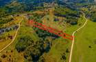 Teren agricol de 4253 mp, în Glăjărie - 6