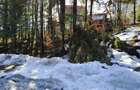 Sinaia-Teren intravilan constructii - 4