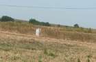 Teren Construcții de 699 mp, în Chișoda - 6