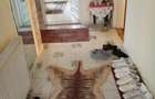 Casă cu Teren 1500 Mp în Mircea Vodă - 5