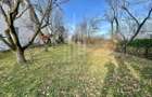 Teren intravilan 1.915 mp + cabana din lemn | Tocile Sadu - 7