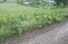 Vand teren intravilan - 4