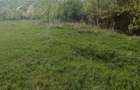 Teren intravilan de vanzare - 5