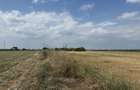 Agentia imobiliara VIGAFON vinde teren intravilan Parc Municipal Vest - 1