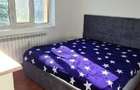 Apartament cu 2 camere semidecomandat în Crihala - 8