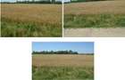 Teren extravilan cota parte 1/6 Domnesti ; ID: R2928832 - 3