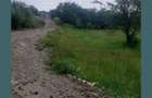 Teren extravilan de 15000 mp, în Filipeștii de Pădure - 3
