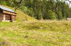 Teren intravilan Valea Doftanei - 9