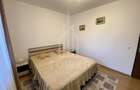 Apartament cu 2 camere decomandat în Turnișor - 12