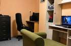 Casa individuala de vanzare in Aradul Nou Muresel, zona linistita, acces secundar spre faleza Muresului - 4