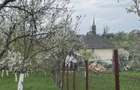 Buzesti(Farcasa), linga Biserica,casa 2 camere, baie, beci , anexe ,20 ari gradina ,pret 68.000 euro - 1