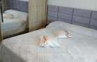 Apartament de inchiriat - 5