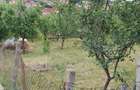 Vand teren intravilan - 1