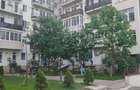 Apartament cu 2 camere semidecomandat în Olteniței - 3
