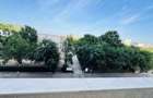 Ap. 2 cam. nelocuit ?i parcare subterana - 12