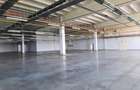 Spatiu Industrial - 2800 mp - Productie - Depozitare - 1