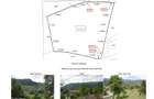 Rucar, teren intravilan 3214 mp cu deschidere 56 m in DN73 - 2